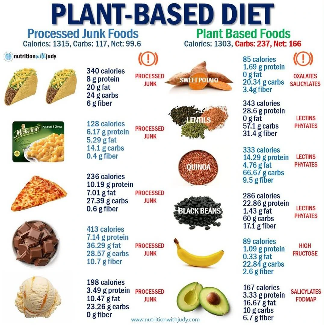 An infographic depicting the environmental benefits of a plant-based diet, including reduced greenhouse gas emissions and water conservation.