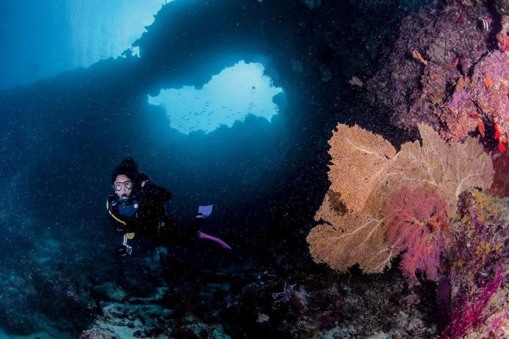 Aktivitas snorkeling di terumbu karang yang berwarna-warni