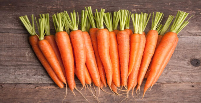 World Carrot Day: Celebrating the Versatile Vegetable 2024