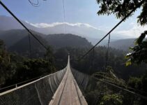 Lembah Purba: Menelusuri Jejak Kehidupan Masa Lalu