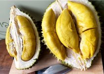 Durian Musang King: Sensasi Manis dan Pahit yang Membuat Ketagihan