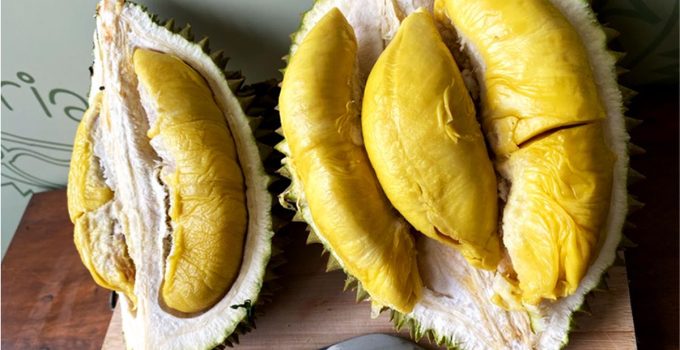 Durian Musang King: Sensasi Manis dan Pahit yang Membuat Ketagihan