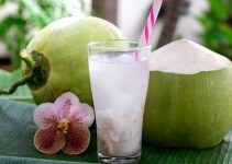 Es Kelapa Muda: Minuman Segar yang Kaya Manfaat untuk Tubuh