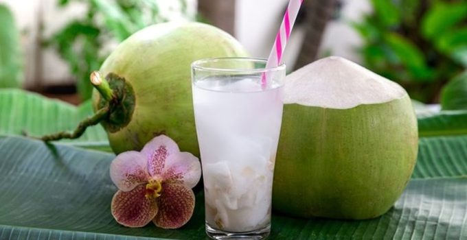 Es Kelapa Muda: Minuman Segar yang Kaya Manfaat untuk Tubuh