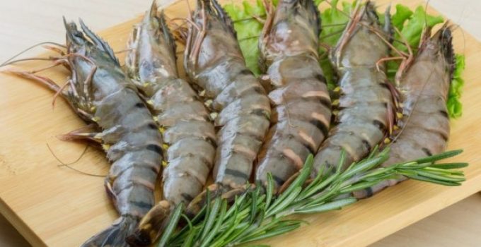 Udang Konsumsi: Sumber Gizi dan Manfaatnya yang Melimpah