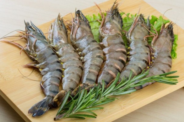 Udang Konsumsi