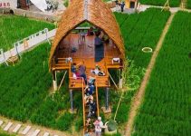 Sawah Lukis: Keajaiban Alam yang Menginspirasi Seni dan Hati