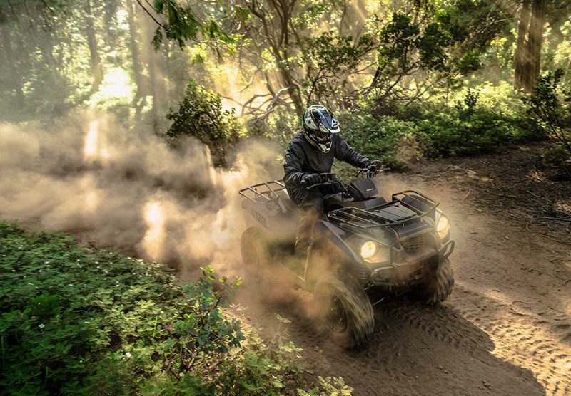 Desain Kokoh  Brute Force 300