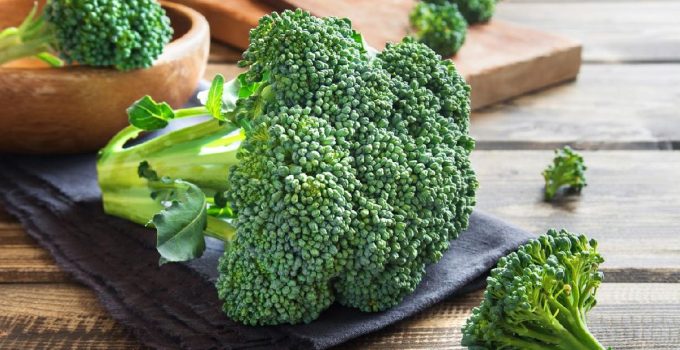 Brokoli dan Cerita Hijau yang Menghidupkan Meja Makan Sehari Hari