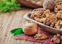 Kacang Kenari: Rahasia Alam yang Menyimpan Kebaikan untuk Tubuh dan Pikiran Kacang Kenari: Rahasia Alam yang Menyimpan Kebaikan untuk Tubuh dan Pikiran